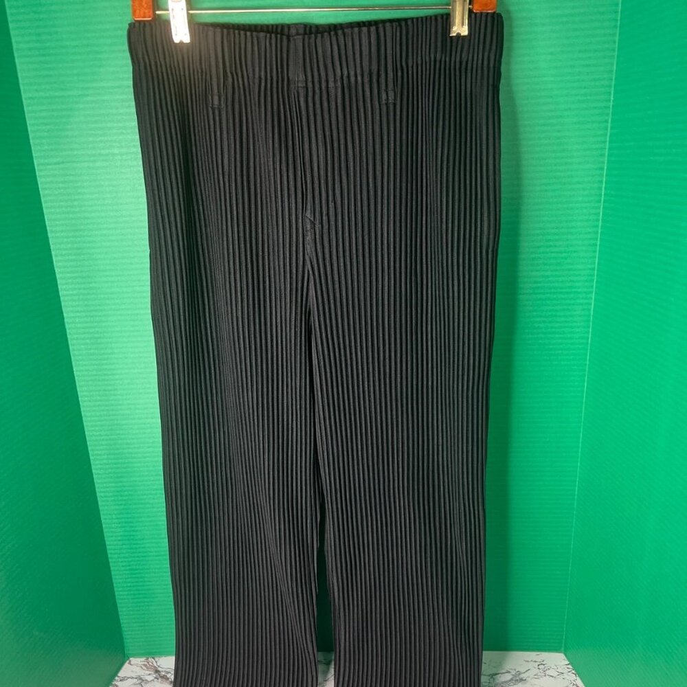 Homme Plissé Issey Miyake Pleated Pants Black size 2